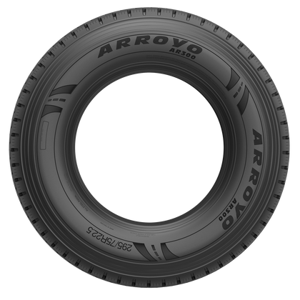 AR300